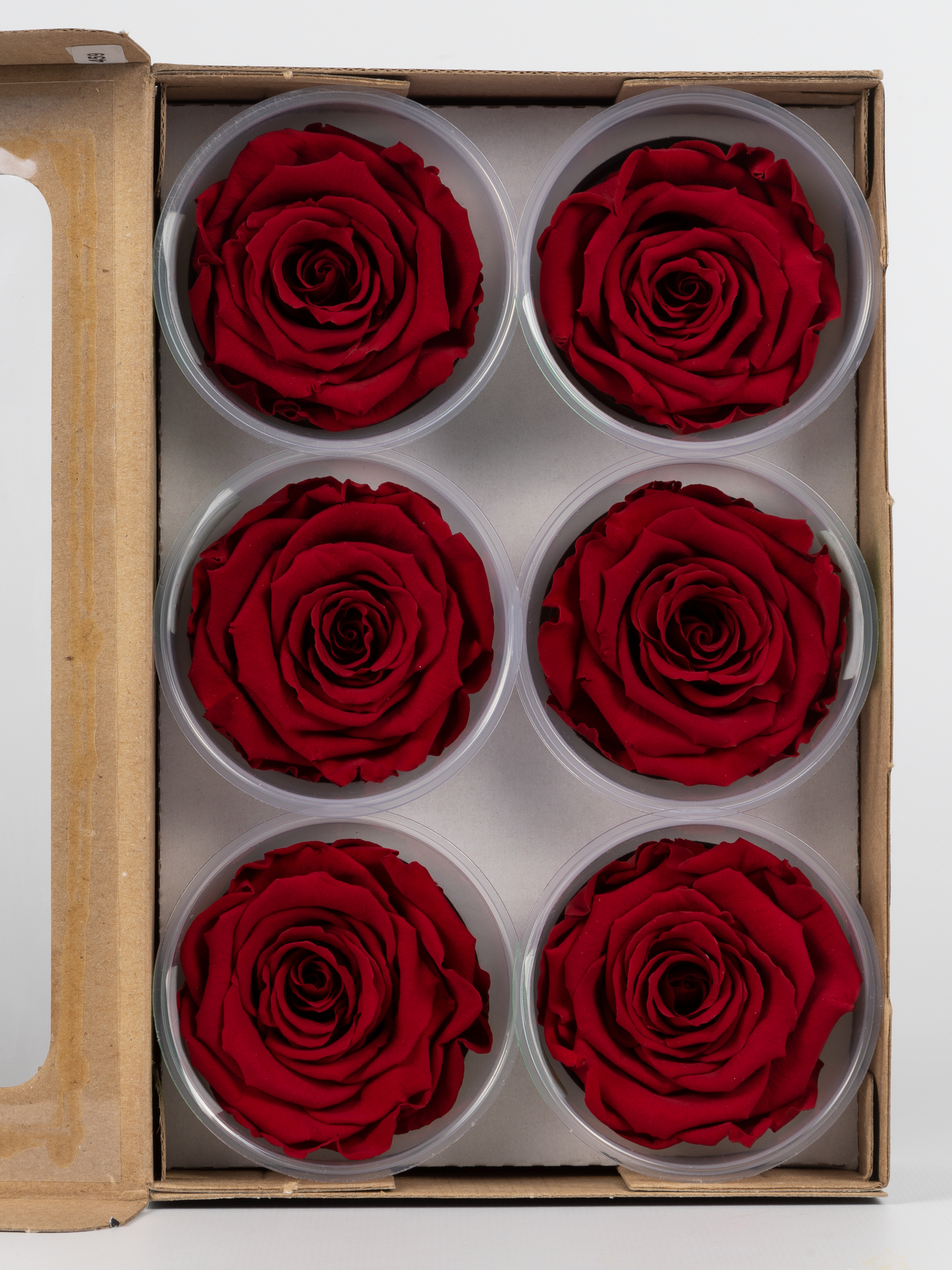 Троянда стабілізована RoseAmor LL+ Red 01 бургунді