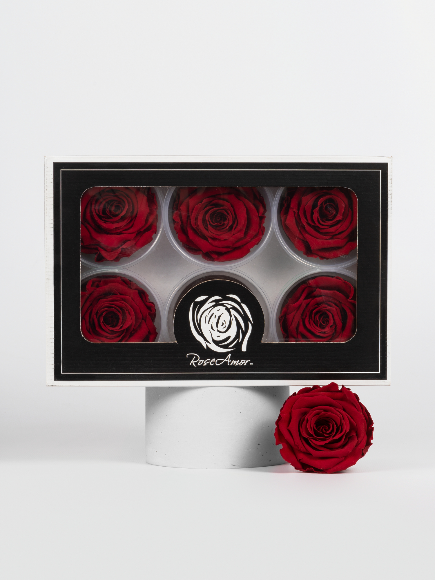 Троянда стабілізована RoseAmor LL+ Red 01 бургунді