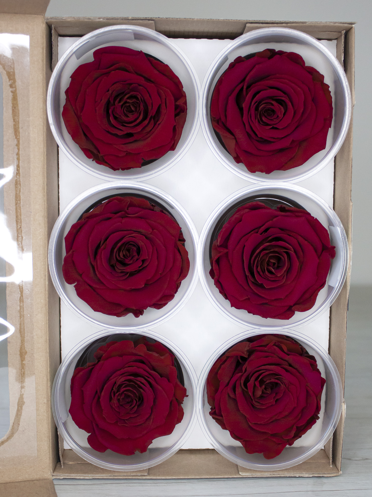 Роза стабилизированная RoseAmor LL+ Red 02 красная