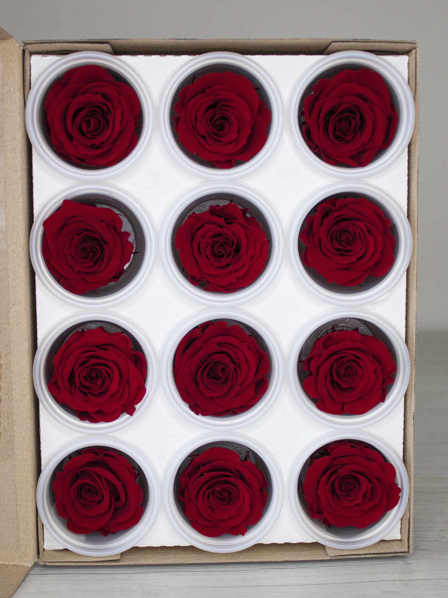 Роза стабилизированная RoseAmor S Red 02 красная