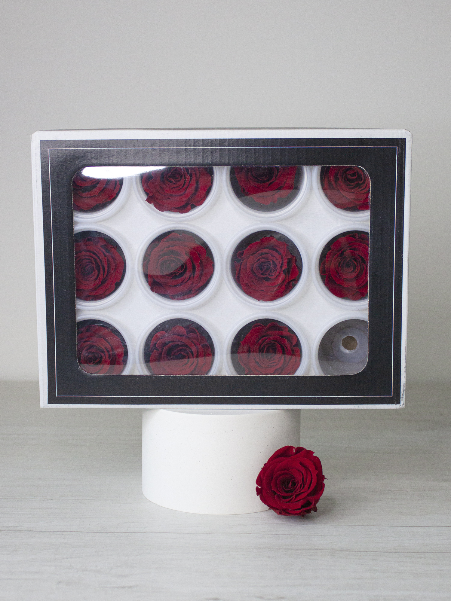 Роза стабилизированная RoseAmor S Red 02 красная