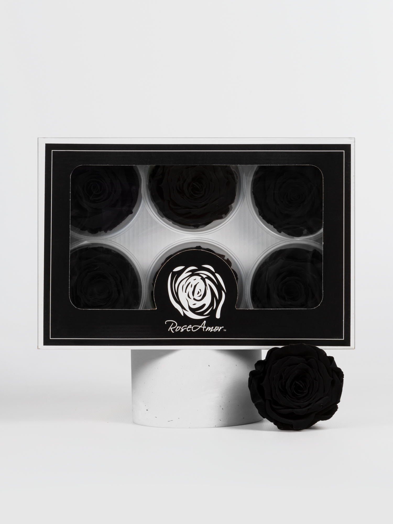 Троянда стабілізована RoseAmor LL+ Red 01 бургунді