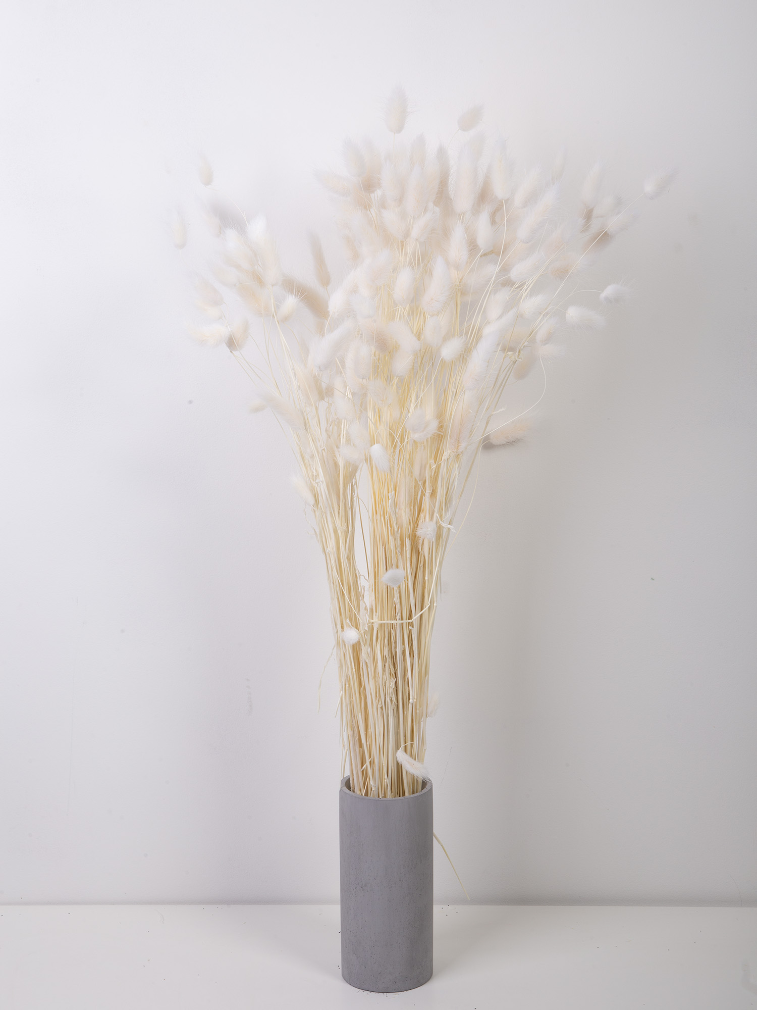 Лаванда стабілізована темно-синя