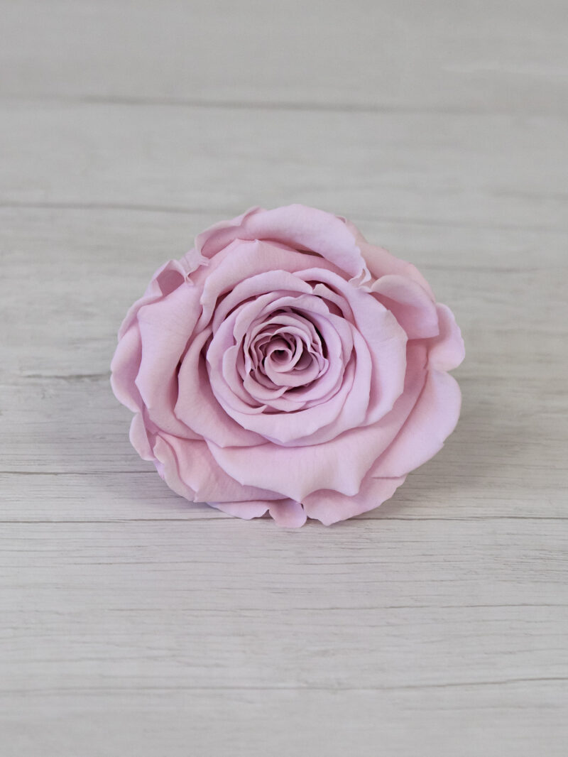 Роза стабилизированная RoseAmor LL+ Pin 04 светло-розовая Роза стабилизированная RoseAmor LL+ Pin 04 светло-розовая