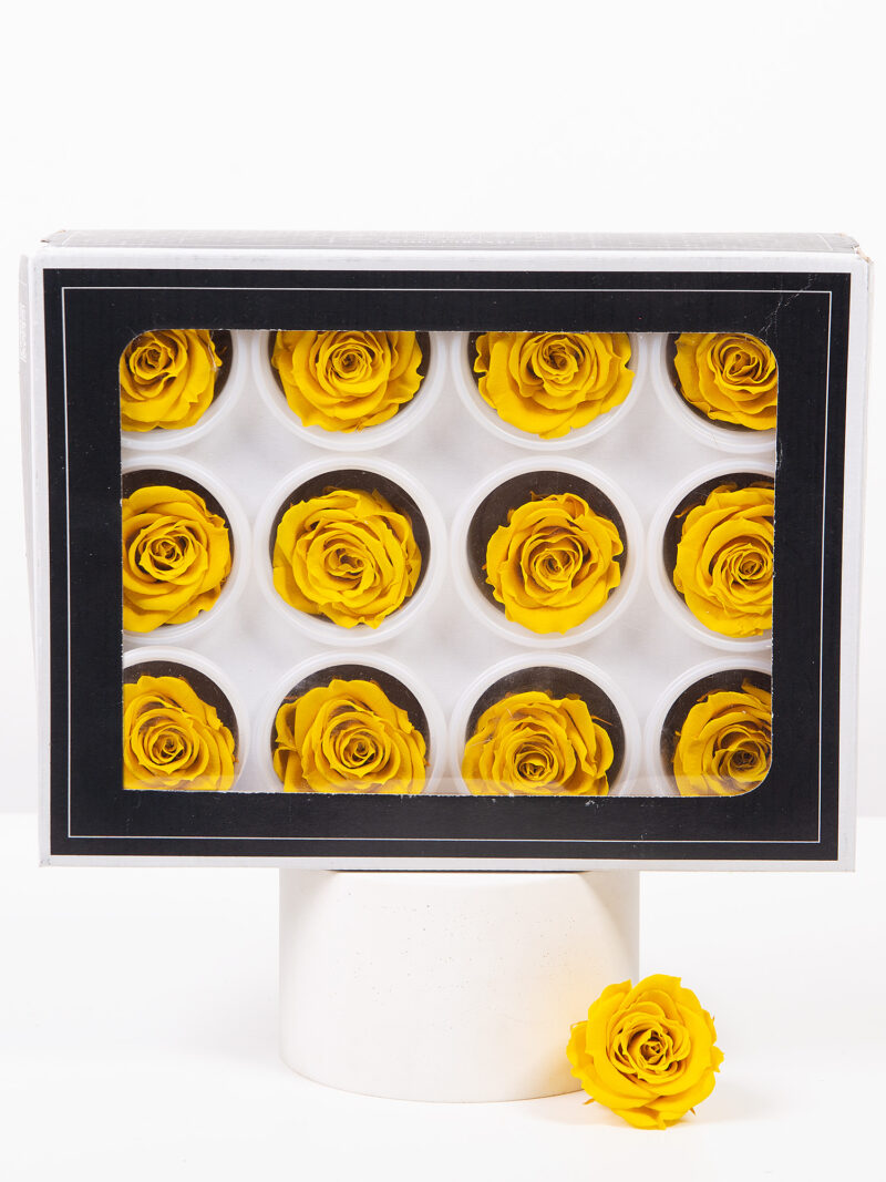 Троянда стабілізована RoseAmor S Yel 02 жовта Троянда стабілізована RoseAmor S Yel 02 жовта
