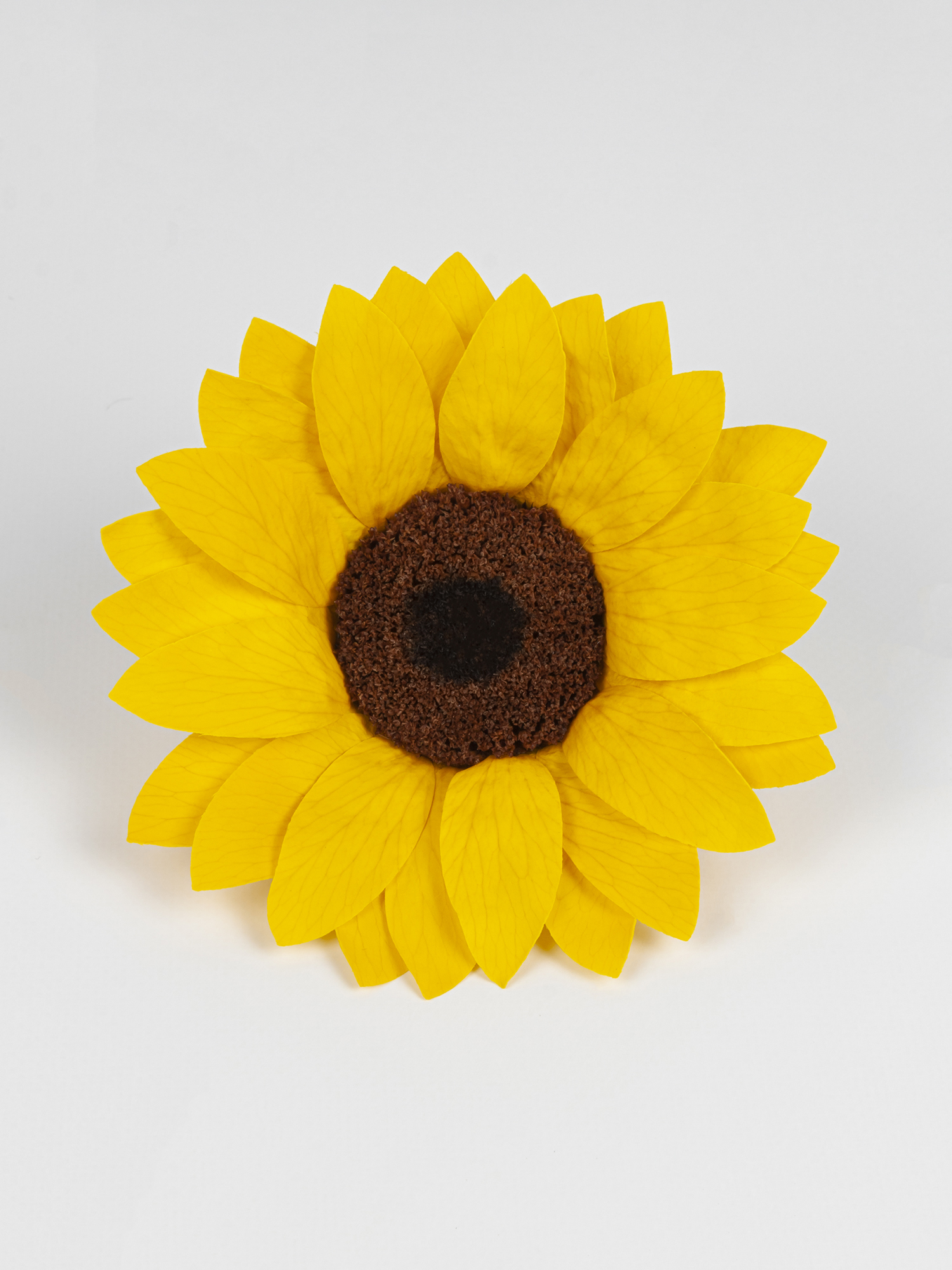 Соняшник стабілізований RoseAmor XXL Yel 02 жовтий