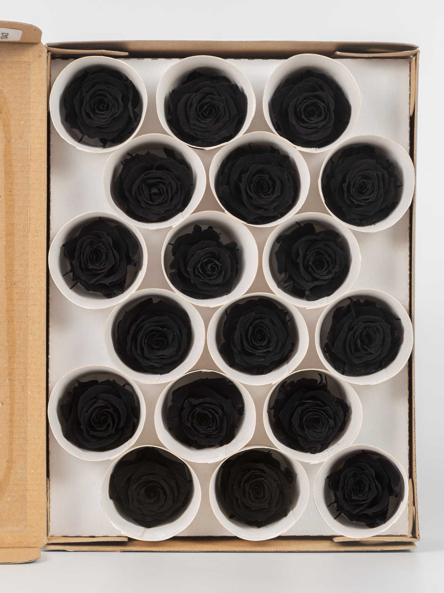 Роза стабилизированная RoseAmor XS Bla 01 черная