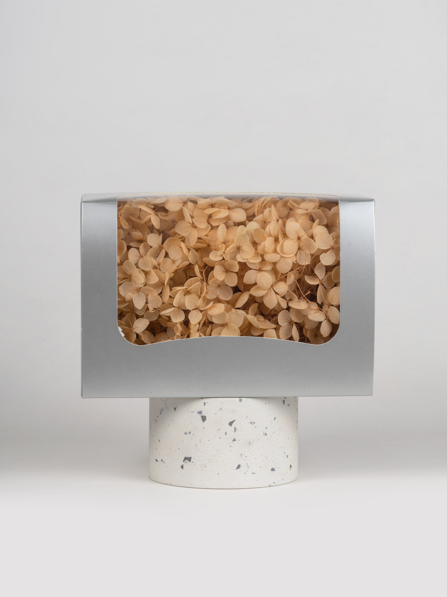 Гортензия стабилизированная песочная Гортензия стабилизированная песочная