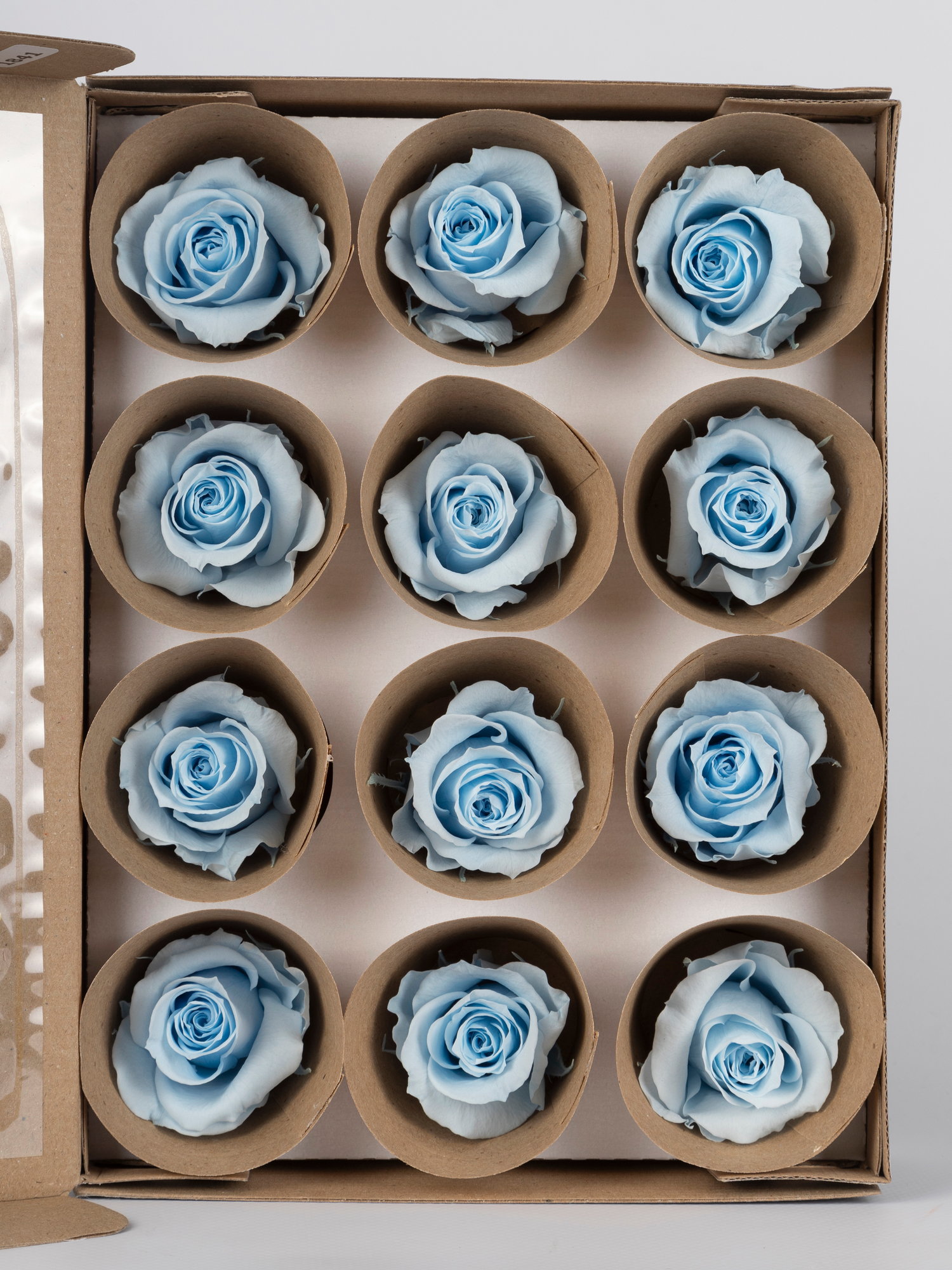 Троянда стабілізована RoseAmor M Blu 89 блакитна