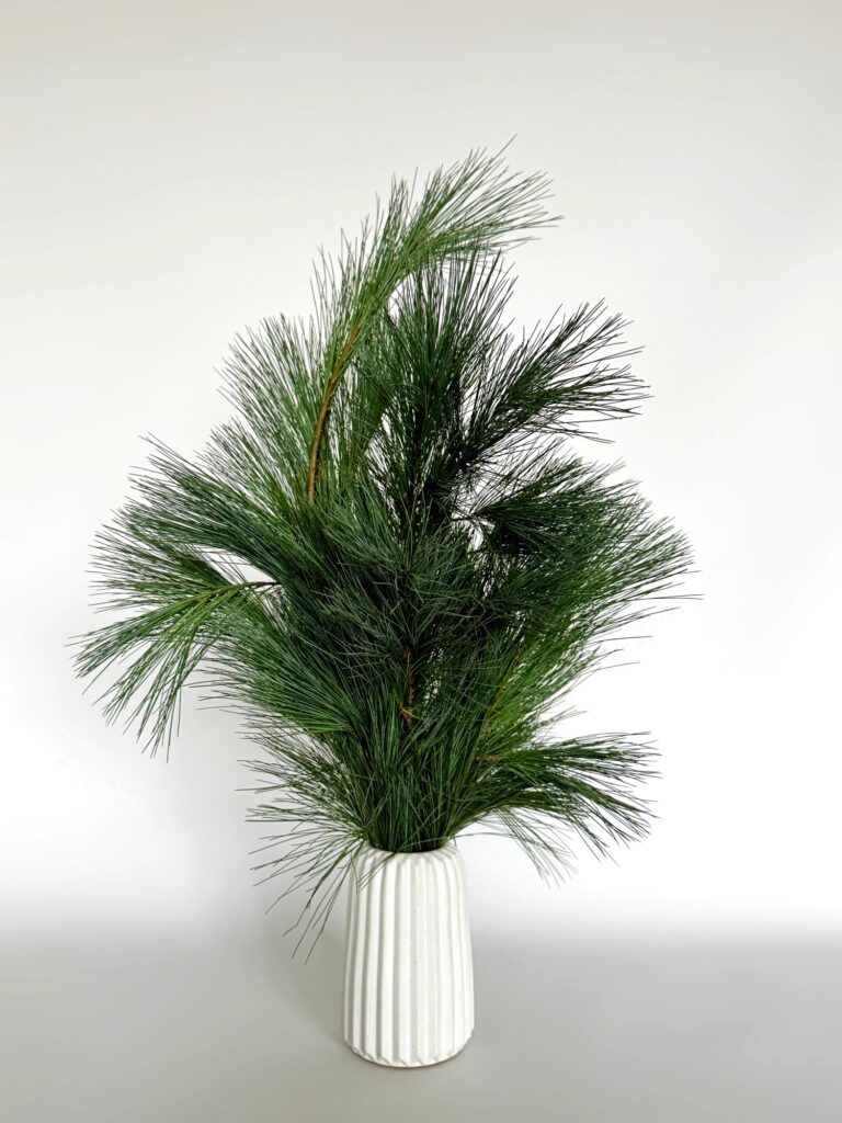 Сосна Веймутова (Pinus strobus) гілки натуральні 0.5 кг