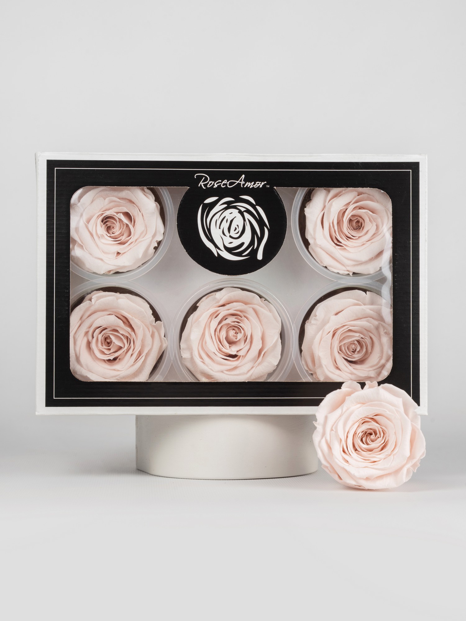 Троянда стабілізована RoseAmor XL Pin 79 блідо-рожева