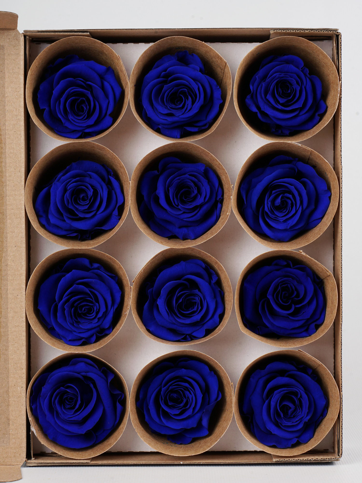 Роза стабилизированная RoseAmor M Blu 03 синяя