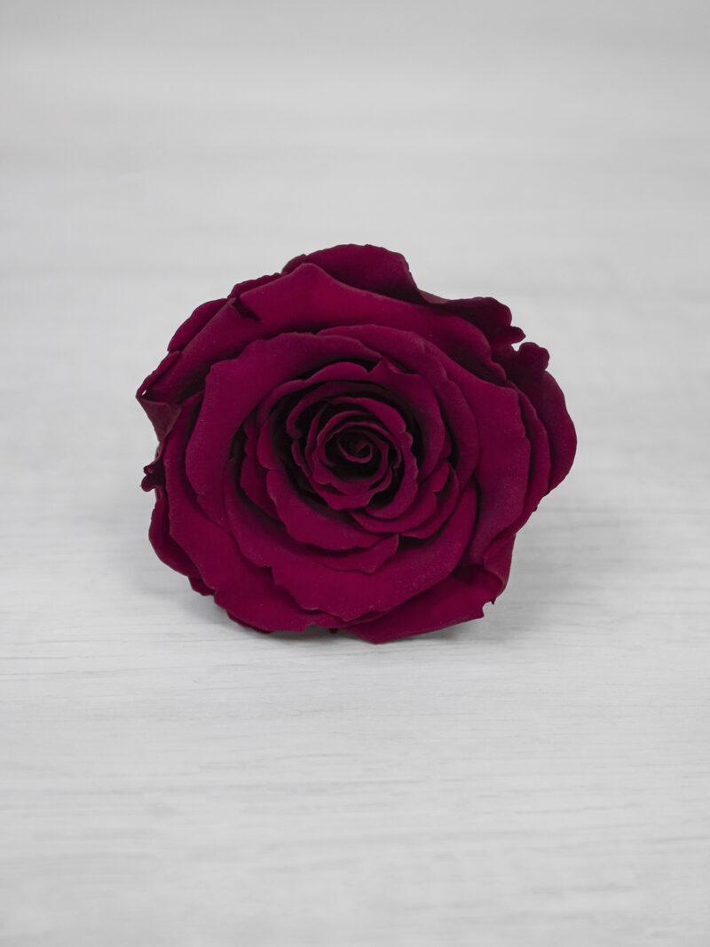 Троянда стабілізована RoseAmor XL Pin 02 ягідна Троянда стабілізована RoseAmor XL Pin 02 ягідна