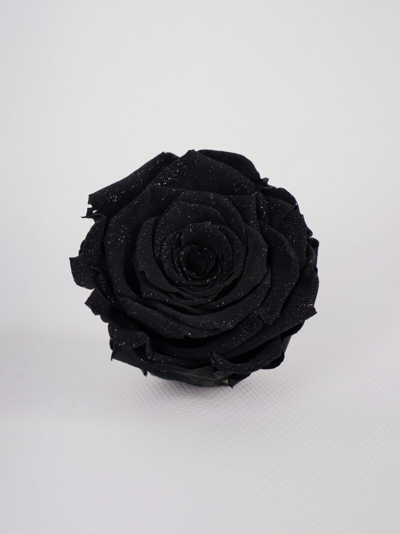 Роза стабилизированная RoseAmor LL+ DD Bla 01 черная с блестками Роза стабилизированная RoseAmor LL+ DD Bla 01 черная с блестками